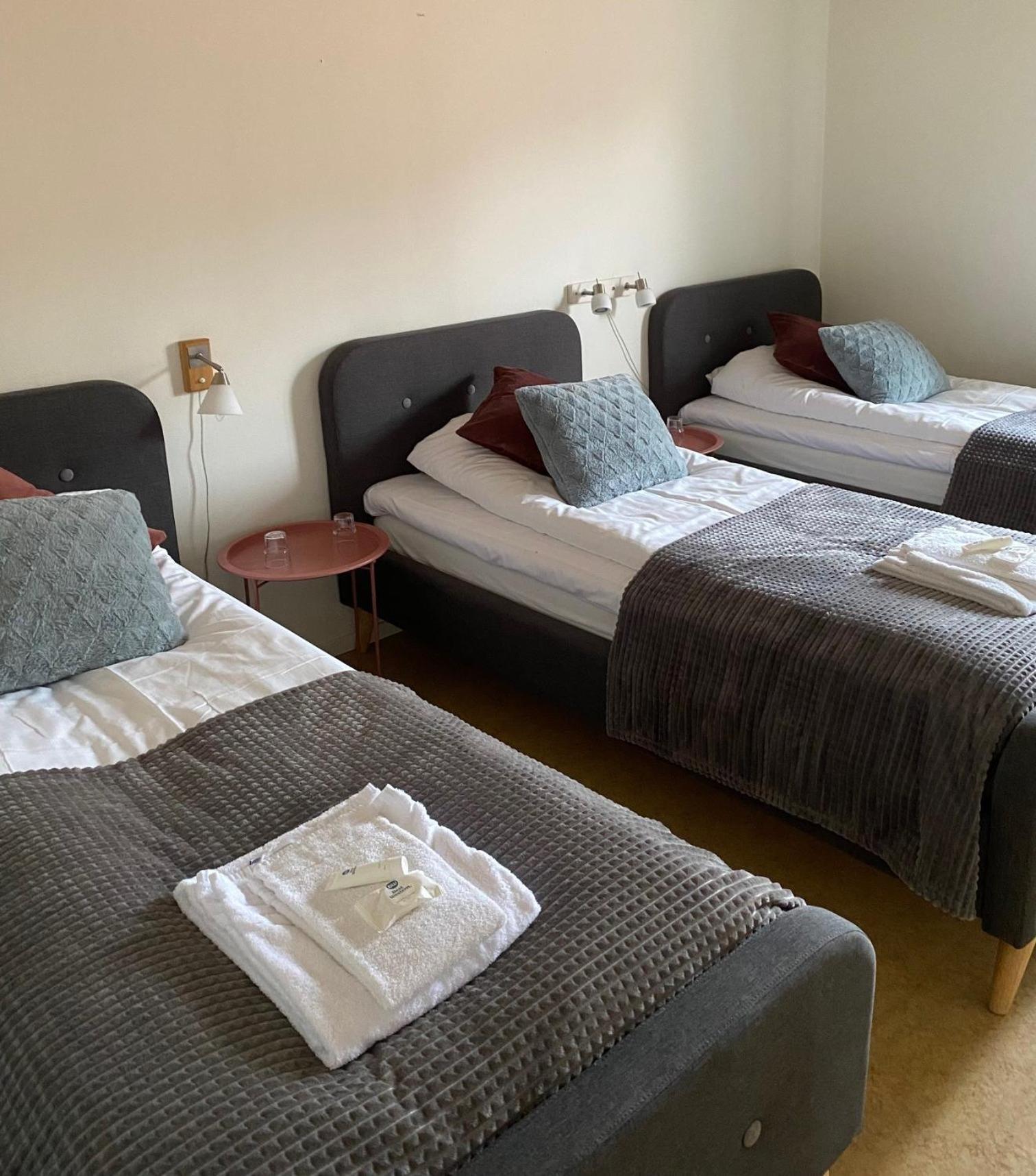 Snoea Bruk Hotell Och Konferens Dala-Jarna Екстер'єр фото