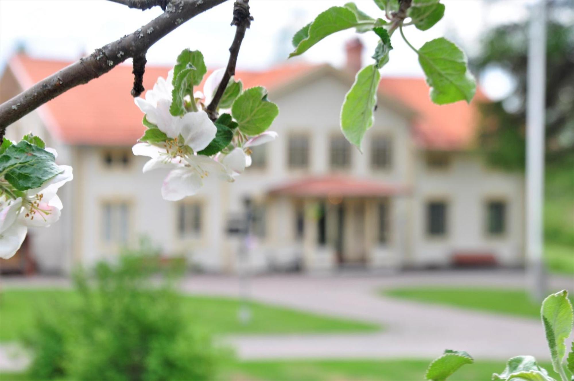 Snoea Bruk Hotell Och Konferens Dala-Jarna Екстер'єр фото
